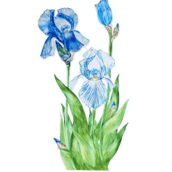 DecoWoerner Decoración De Primavera>Colgante De Exposición "Iris" Anchura 110 Cm
