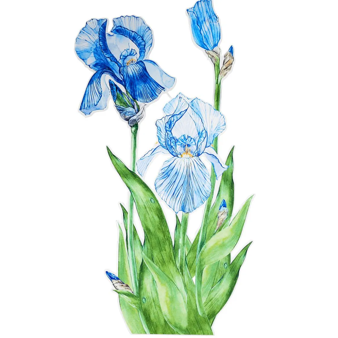 DecoWoerner Decoración De Primavera>Colgante De Exposición "Iris" Anchura 110 Cm