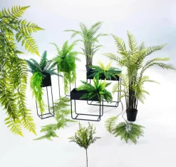 DecoWoerner Plantas Verdes|Plantas Colgantes><noscript><img width=