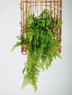 DecoWoerner Plantas Verdes|Plantas Colgantes><noscript><img width=