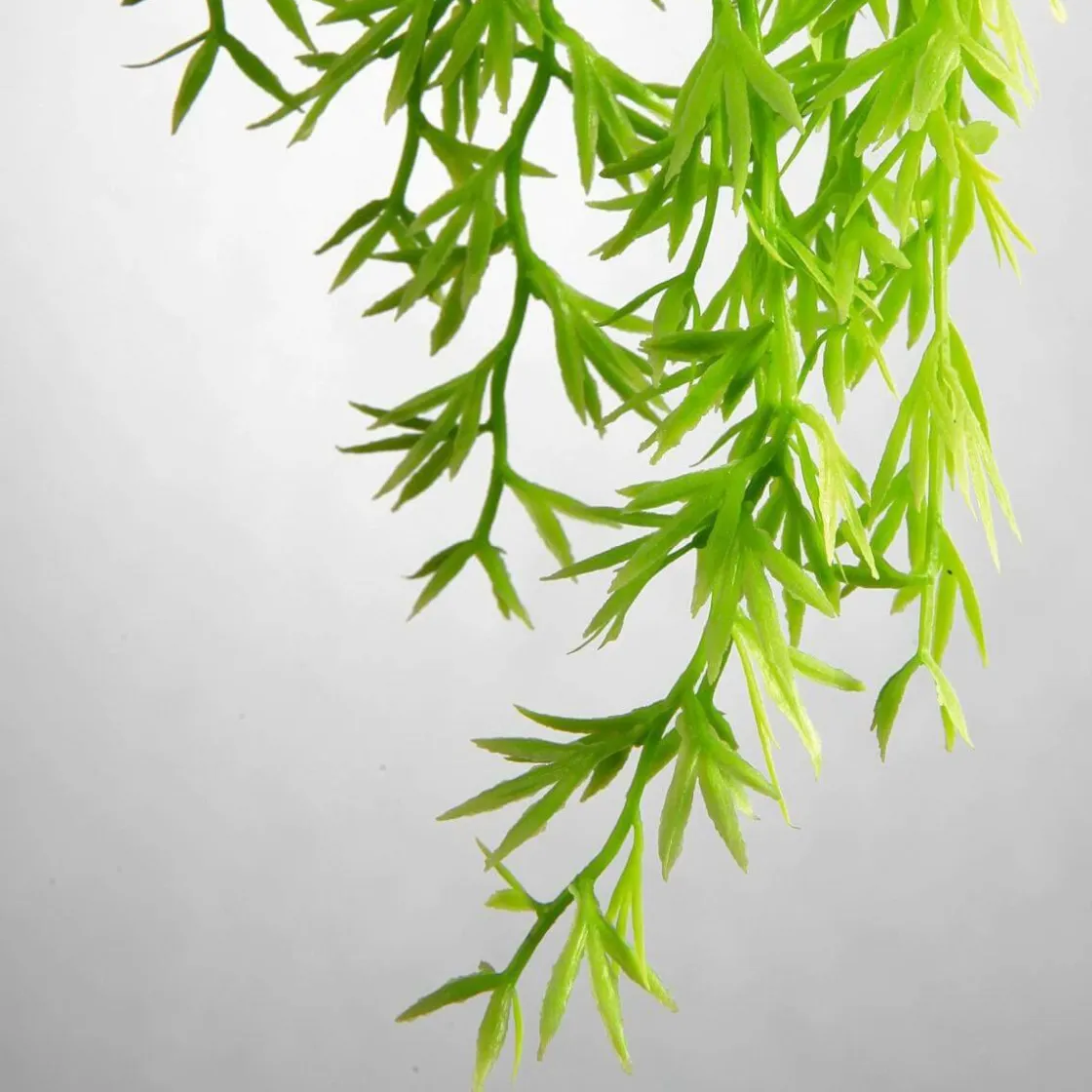 DecoWoerner Plantas Verdes|Plantas Colgantes>Colgante De Plantas Artificiales Espárragos De Sprenger , 84 Cm