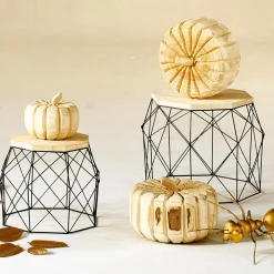 DecoWoerner Expositores Para Tiendas|Decoración Natural><noscript><img width=