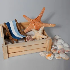 DecoWoerner Expositores Para Tiendas|Macetas Y Artículos De Decoración><noscript><img width=