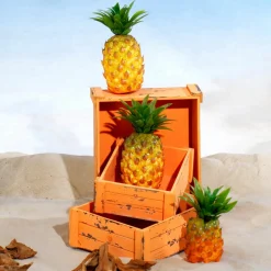 DecoWoerner Expositores Para Tiendas|Macetas Y Artículos De Decoración>Conjunto De Cajas De Madera, Ado
