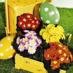 DecoWoerner Expositores Para Tiendas|Macetas Y Artículos De Decoración><noscript><img width=