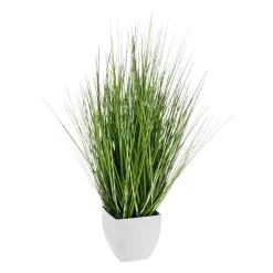 DecoWoerner Hierba Decorativa>Deco Hierba Cebra En Maceta Blanca 50 Cm