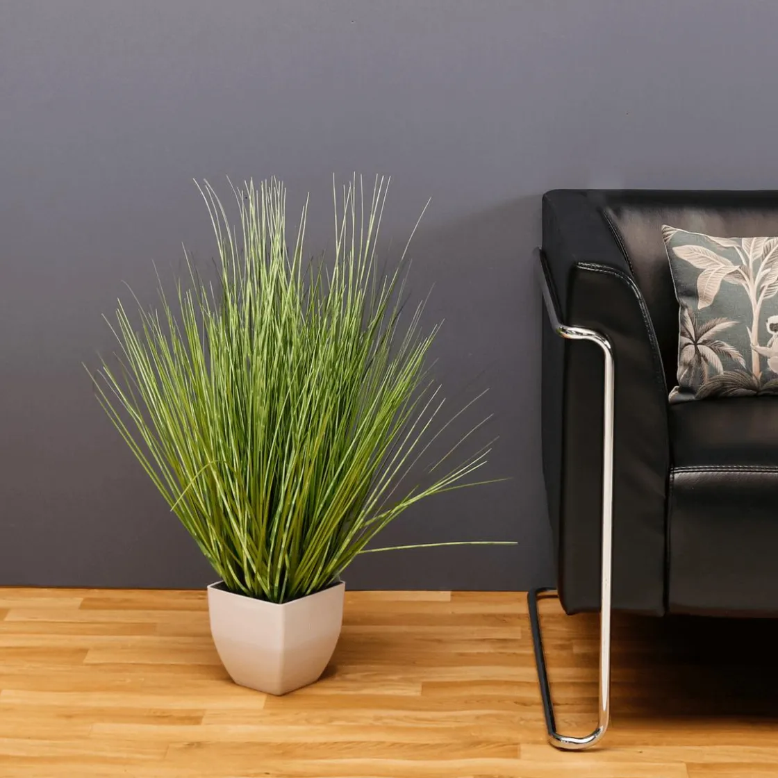 DecoWoerner Plantas De Interior|Hierba Decorativa>Deco Hierba Cebra En Maceta Blanca 78 Cm