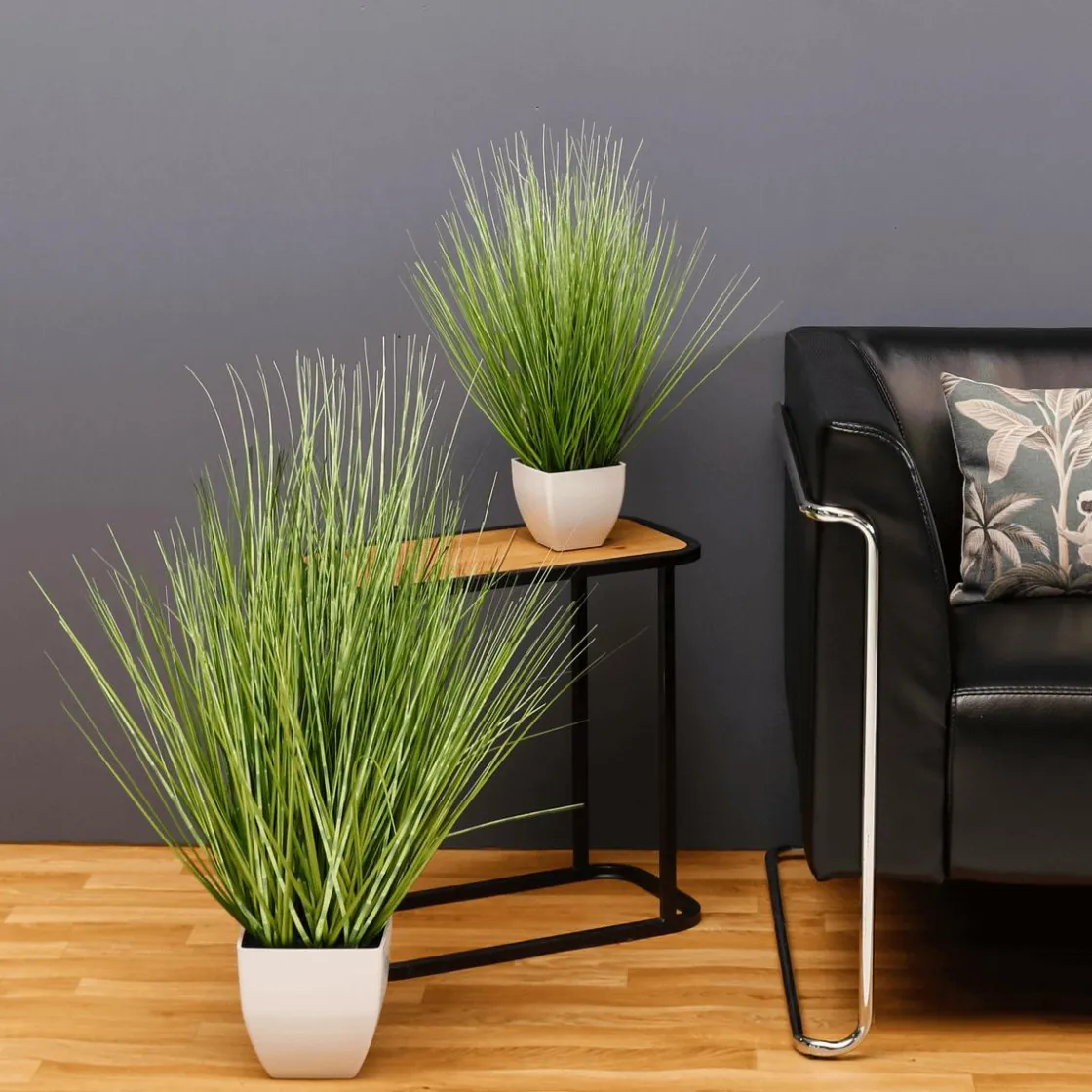 DecoWoerner Plantas De Interior|Hierba Decorativa>Deco Hierba Cebra En Maceta Blanca 78 Cm
