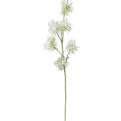 DecoWoerner Ramas Y Ramitas>Decoración Del Puesto De Frutas "Wild Vine 87 Cm