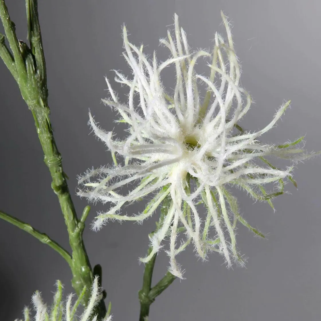 DecoWoerner Ramas Y Ramitas>Decoración Del Puesto De Frutas "Wild Vine 87 Cm