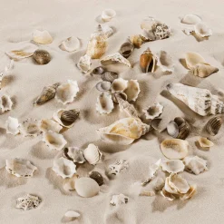 DecoWoerner Decoración De Verano|Decoración Dispersa>Decoración Marítima Mixta De Conchas Y Caracoles 2000 G