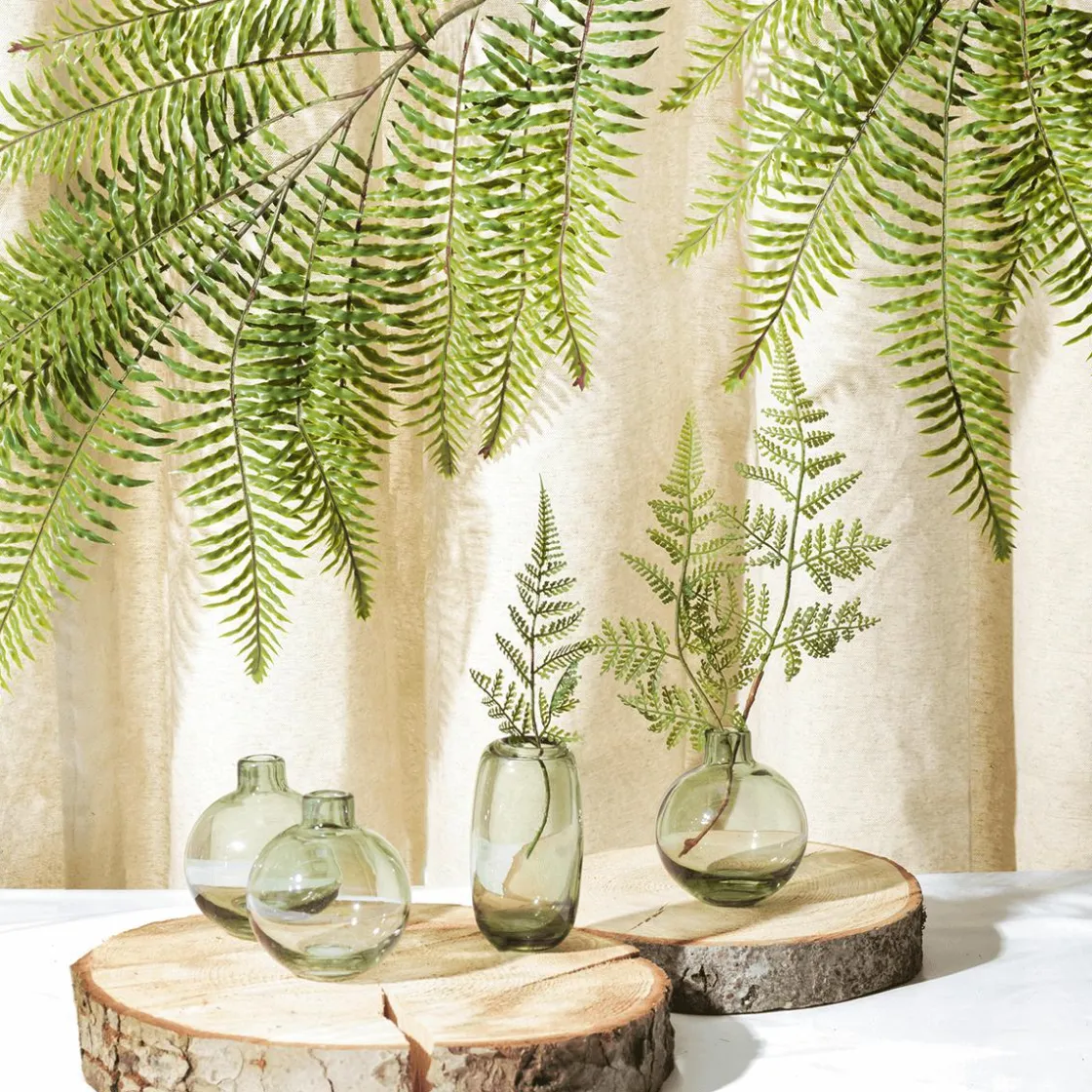 DecoWoerner Decoración Natural|Decoración Temática>Disco De Abedul 16 X 2 Cm Y 15 Cm Ø Juego De 3