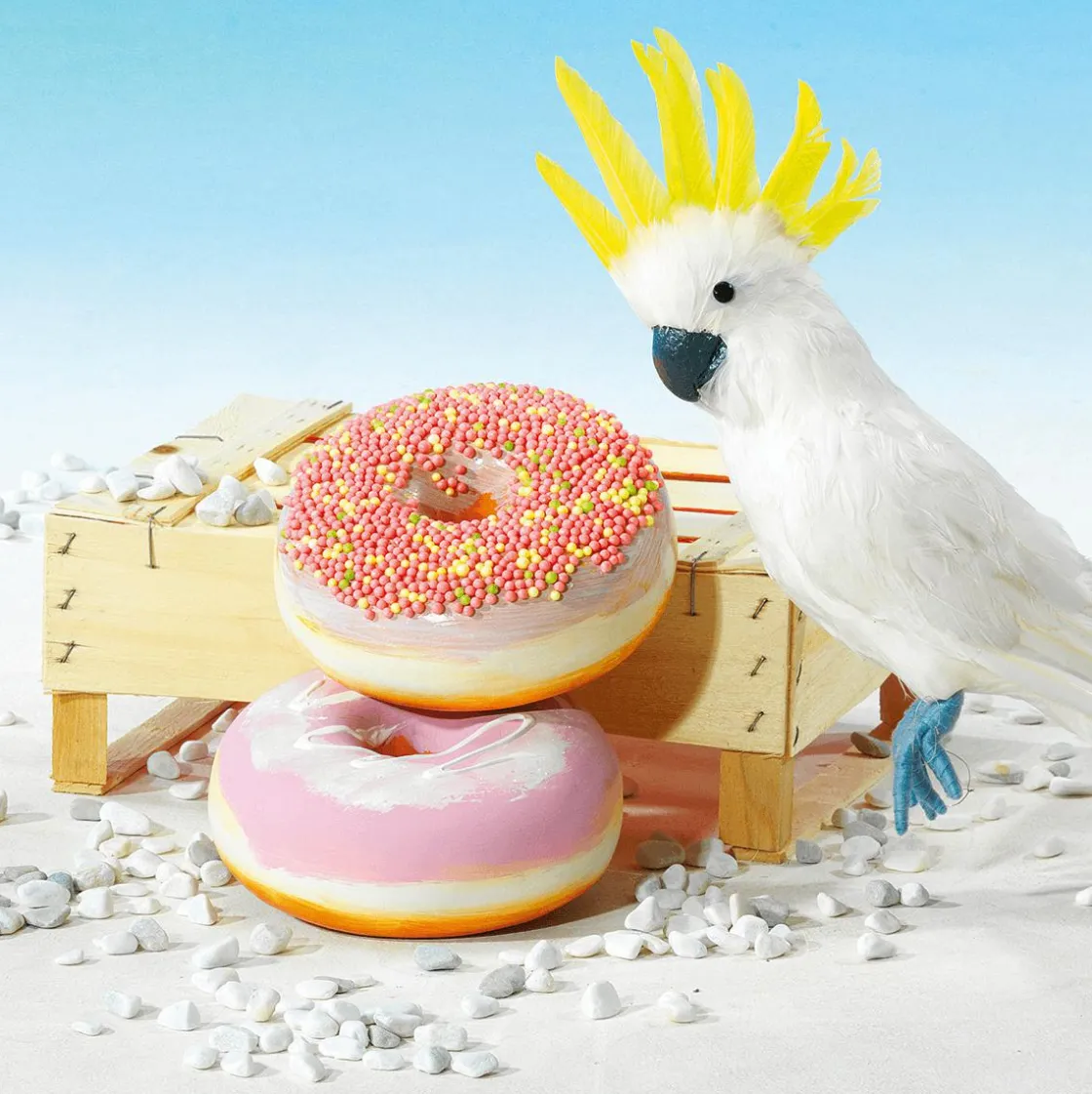 DecoWoerner Chupetes Xxl>Donut Decorativo Con Perlas De Azúcar 20 Cm Ø Colorido