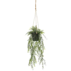 DecoWoerner Plantas Colgantes>Espárrago Artificial Ornamental Asparagus Cesta Colgante 20 X 50 Cm