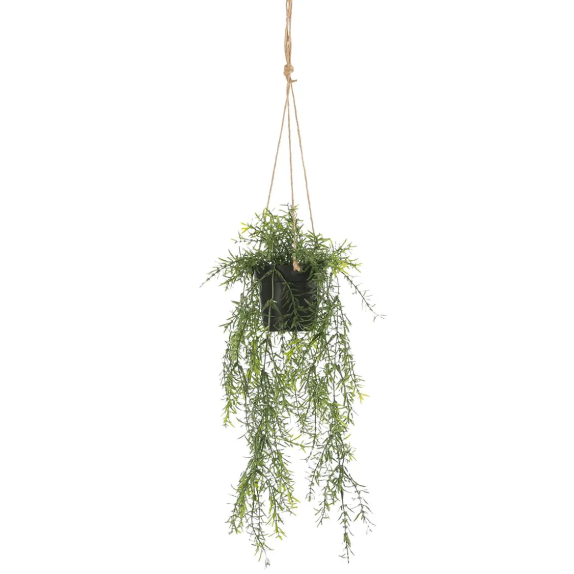 DecoWoerner Plantas Colgantes>Espárrago Artificial Ornamental Asparagus Cesta Colgante 20 X 50 Cm