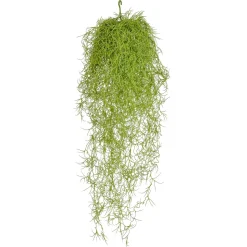 DecoWoerner Plantas Colgantes|Plantas Artificiales Ignífugas>Espárrago Artificial Semáforo Ignífugo 75 Cm B1