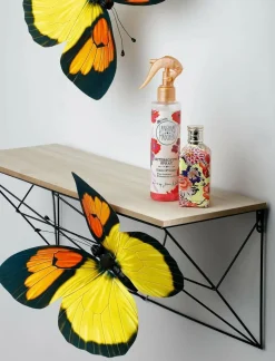 DecoWoerner Expositores Para Tiendas|Decoración Natural><noscript><img width=