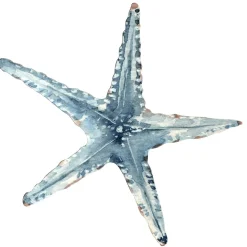 DecoWoerner Decoración De Verano>Expositor Estrella De Mar, 35 X 33 Cm