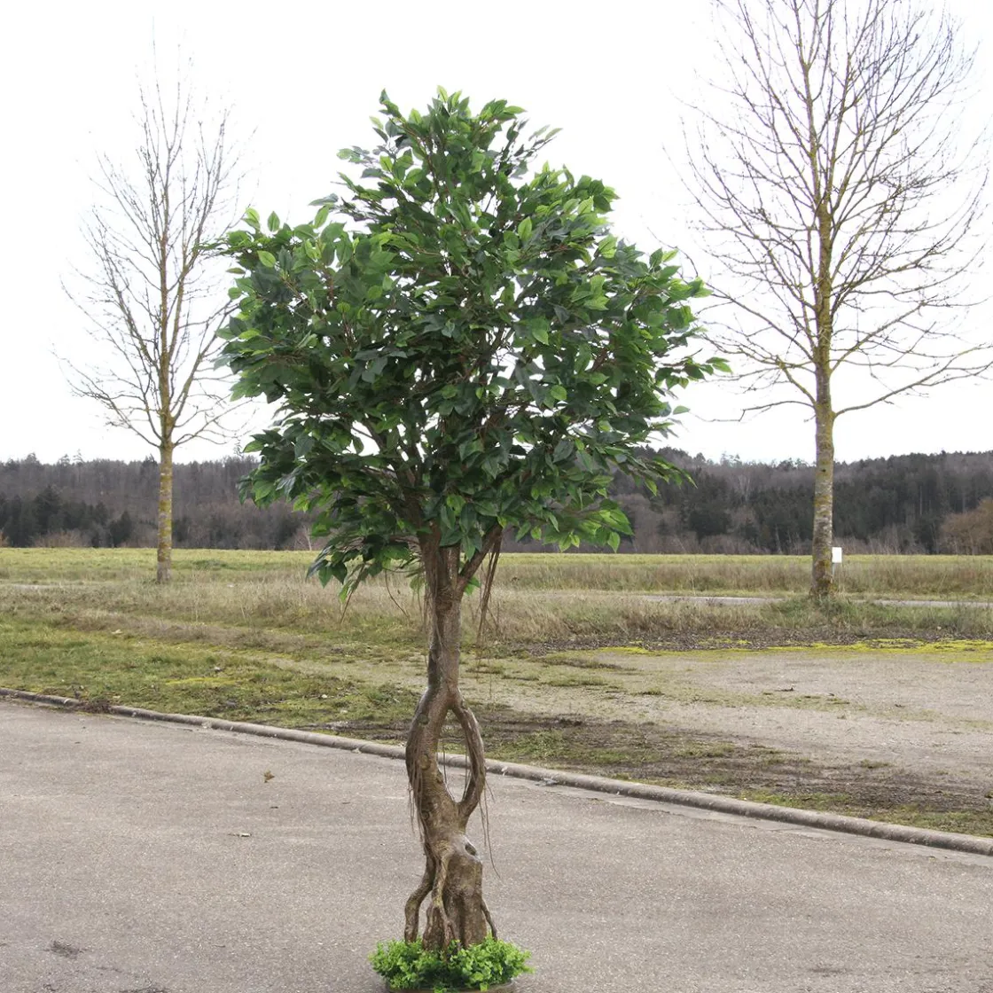 DecoWoerner Decoración De Verano|Decoración De Primavera>Ficus Artificial Con Pie 245 Cm