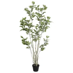 DecoWoerner Plantas Verdes|Plantas De Interior>Ficus Artificial En Maceta