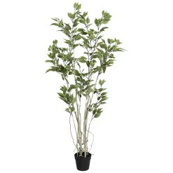 DecoWoerner Plantas Verdes|Plantas De Interior>Ficus Artificial En Maceta