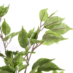 DecoWoerner Plantas Verdes|Plantas De Interior><noscript><img width=