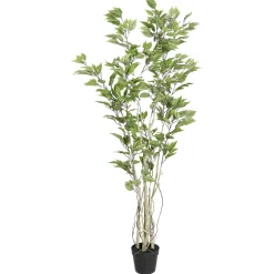 DecoWoerner Plantas Verdes|Plantas De Interior><noscript><img width=