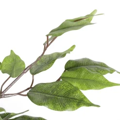 DecoWoerner Plantas Verdes|Plantas De Interior><noscript><img width=