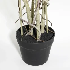 DecoWoerner Plantas Verdes|Plantas De Interior><noscript><img width=
