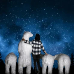 DecoWoerner Decoración De Animales|Decoración De Invierno><noscript><img width=
