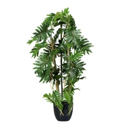 DecoWoerner Plantas Verdes|Plantas De Interior>Filodendro Partido En Maceta Negra