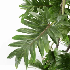 DecoWoerner Plantas Verdes|Plantas De Interior>Filodendro Partido En Maceta Negra