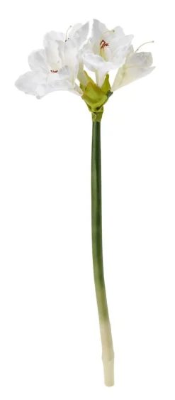 DecoWoerner Decoración De Otoño|Flores Artificiales>Flor Artificial Amaryllis , 60 Cm