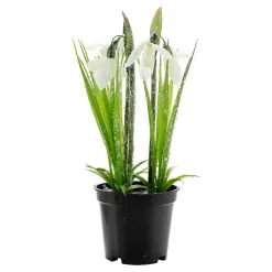DecoWoerner Decoración De Primavera|Flores Artificiales>Flor Artificial Campanilla De Invierno En Maceta, 20 Cm De Altura