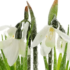DecoWoerner Decoración De Primavera|Flores Artificiales>Flor Artificial Campanilla De Invierno En Maceta, 20 Cm De Altura