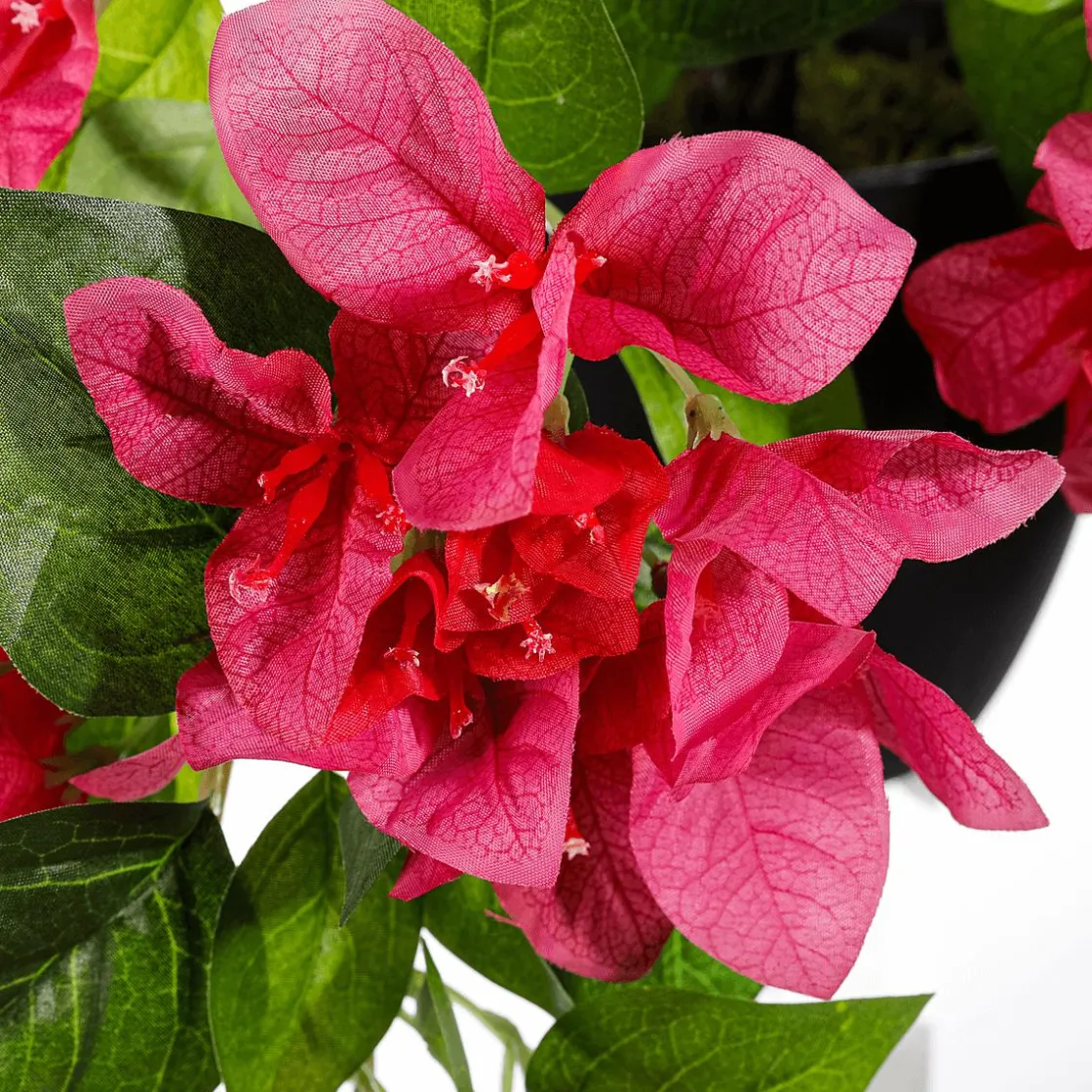 DecoWoerner Plantas De Interior>Flor Artificial Colgante Bougainvillea En Maceta 60 Cm