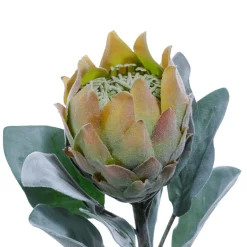 DecoWoerner Decoración De Otoño|Flores Artificiales>Flor Artificial Protea , 72 Cm