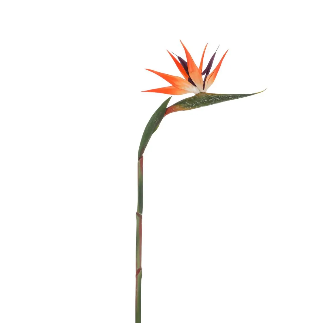 DecoWoerner Decoración De Verano|Plantas De Interior>Flor Artificial Strelizias Ave Del Paraíso 14 X 84 Cm