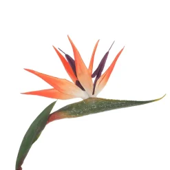 DecoWoerner Decoración De Verano|Plantas De Interior>Flor Artificial Strelizias Ave Del Paraíso 14 X 84 Cm