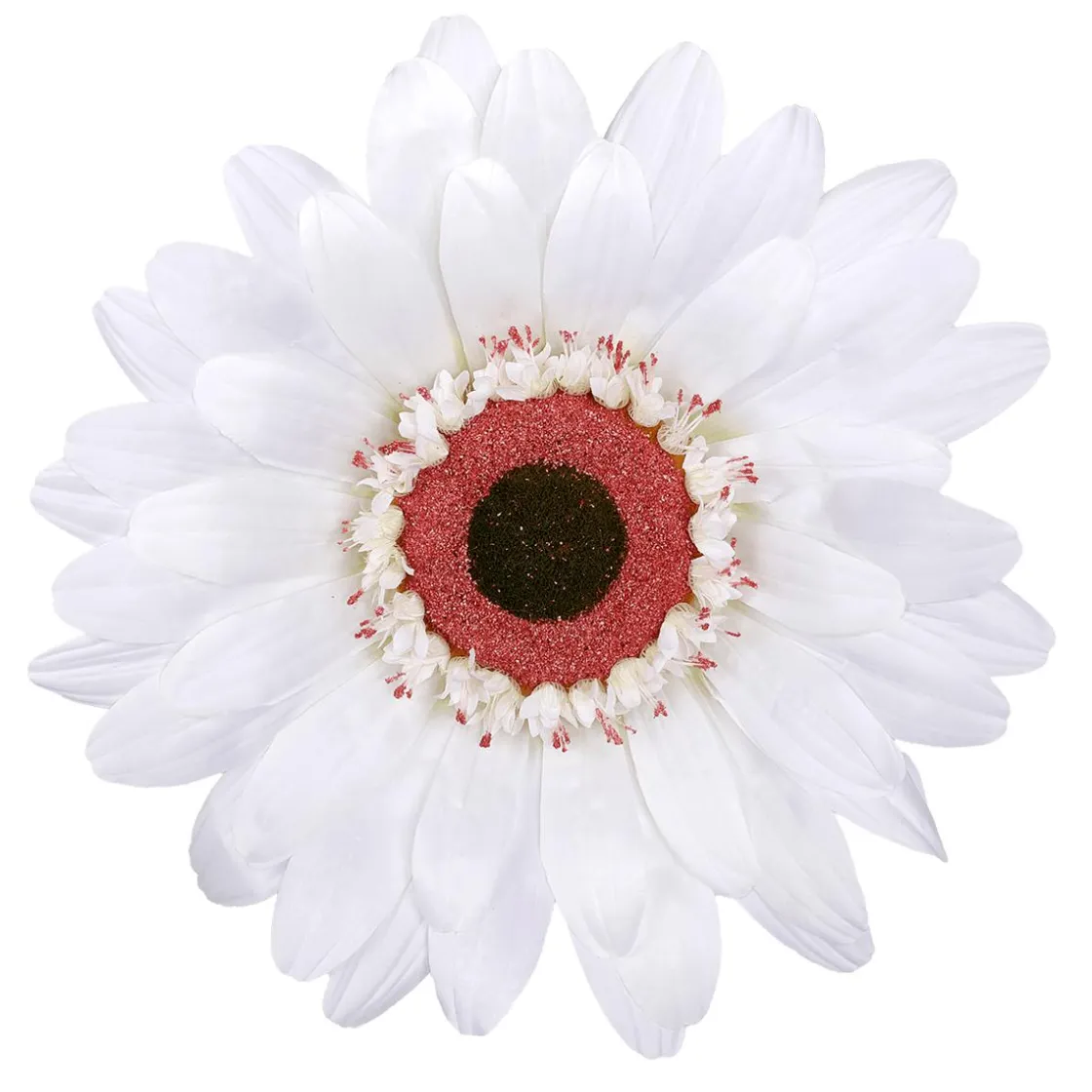 DecoWoerner Decoración De Primavera|Cabezas De Flores Artificiales>Flor De Gerbera Gigante Artificial,