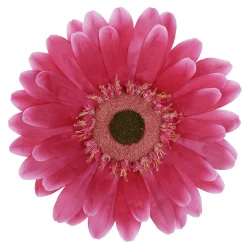 DecoWoerner Decoración De Primavera|Cabezas De Flores Artificiales>Flor De Gerbera Gigante Artificial, Ø 45 Cm, Color Fucsia