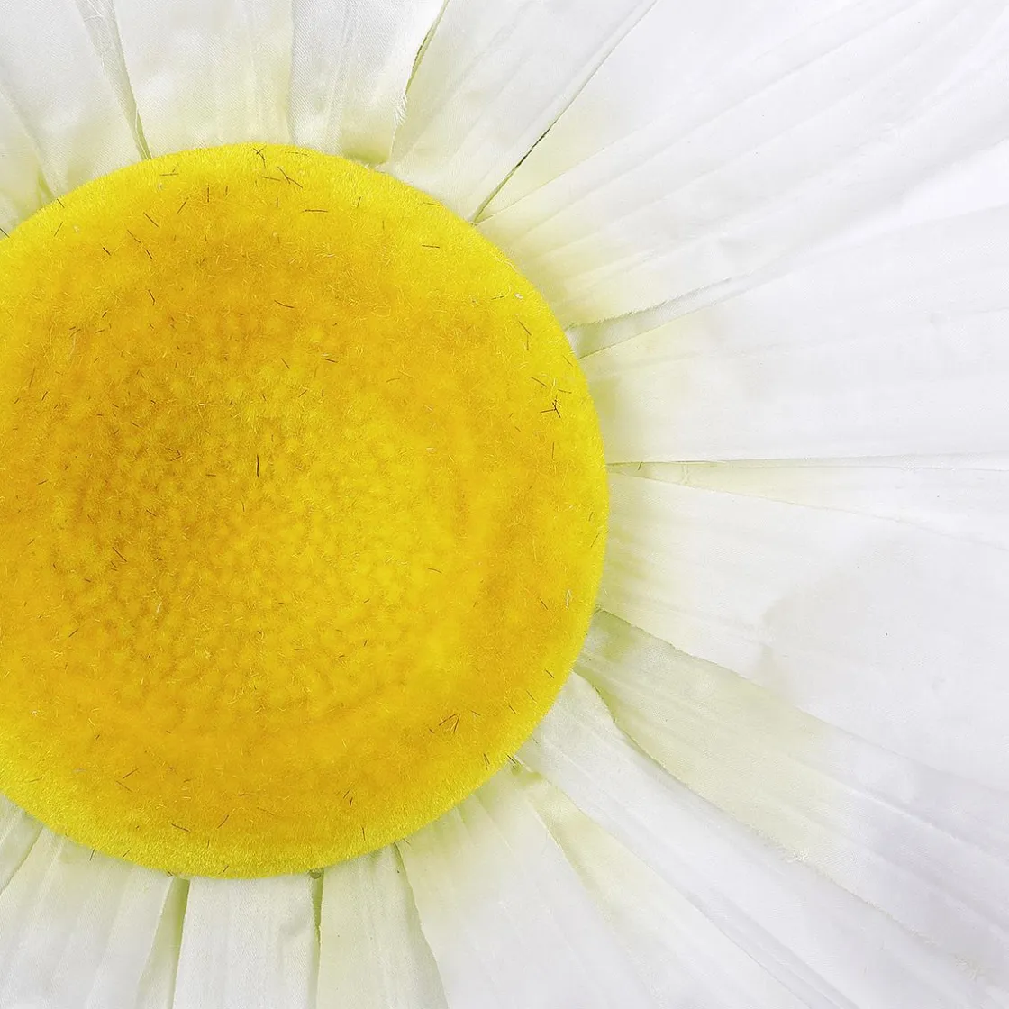 DecoWoerner Decoración De Primavera|Cabezas De Flores Artificiales>Flor De Margarita Gigante Blanca, Ø 55 Cm