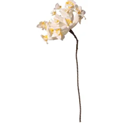 DecoWoerner Decoración De Primavera|Flores Artificiales>Flor De Plástico Frangipani 85 Cm