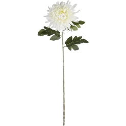 DecoWoerner Flores Artificiales>Flor De Tallo De Dalia Artificial, 80 Cm