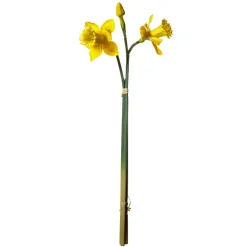 DecoWoerner Decoración De Otoño|Flores Artificiales>Flores Artificiales, Ramo De Narcisos 3 Piezas, 52 Cm