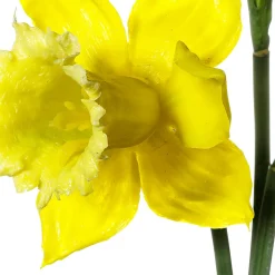 DecoWoerner Decoración De Otoño|Flores Artificiales>Flores Artificiales, Ramo De Narcisos 3 Piezas, 52 Cm