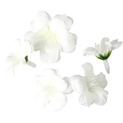 DecoWoerner Decoración Dispersa|Decoración Temática><noscript><img width=