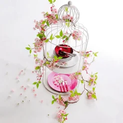 DecoWoerner Decoración Dispersa|Decoración Temática><noscript><img width=