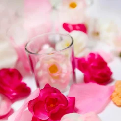 DecoWoerner Decoración Dispersa|Decoración Temática><noscript><img width=