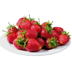 DecoWoerner Frutas>Fresas Alimentos De Imitación 24 Piezas